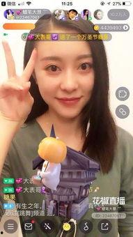 各大视频主播网红,揭秘各大平台流量担当