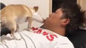 搞笑了起床图,唤醒你的幽默细胞，开启元气满满的一天