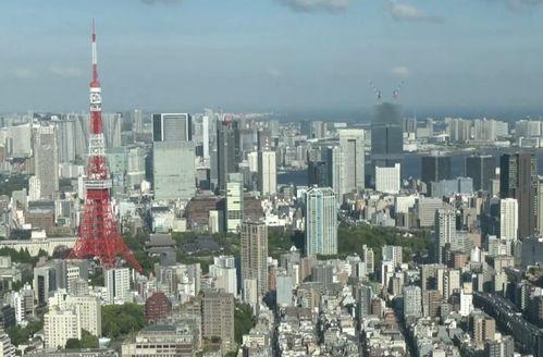东京的资料,繁华都市的脉搏与魅力缩影