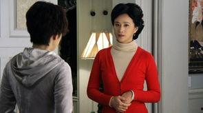 双城生活的演员,探寻双城生活演员们的精彩演绎之路